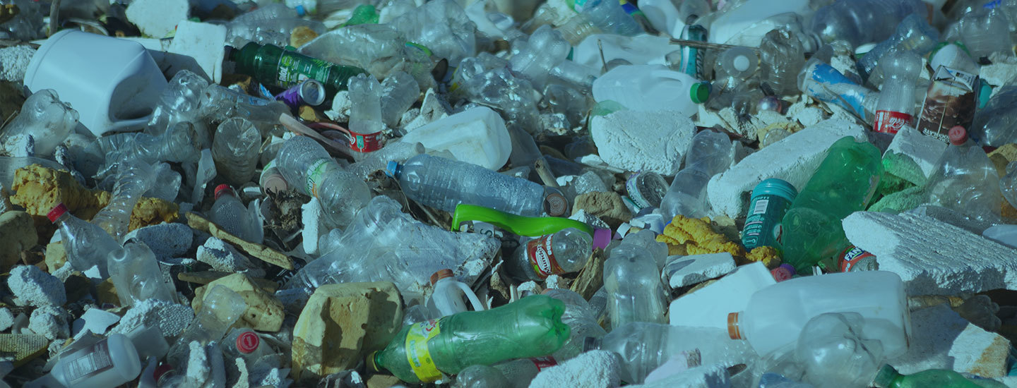 Victory Washington State Passes Comprehensive Policy to tackle Plastic
