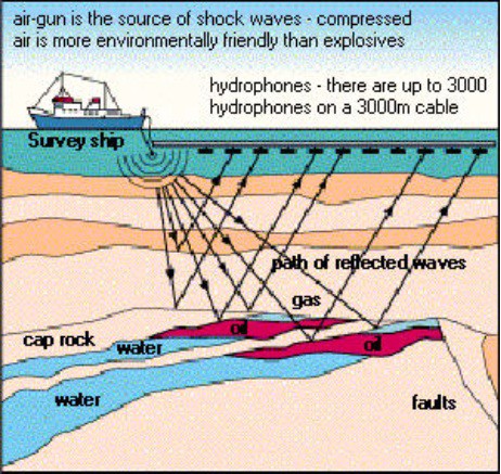 Federal Leaders Voice Opposition to Seismic Testing in the Atlantic Ocean – Surfrider Foundation