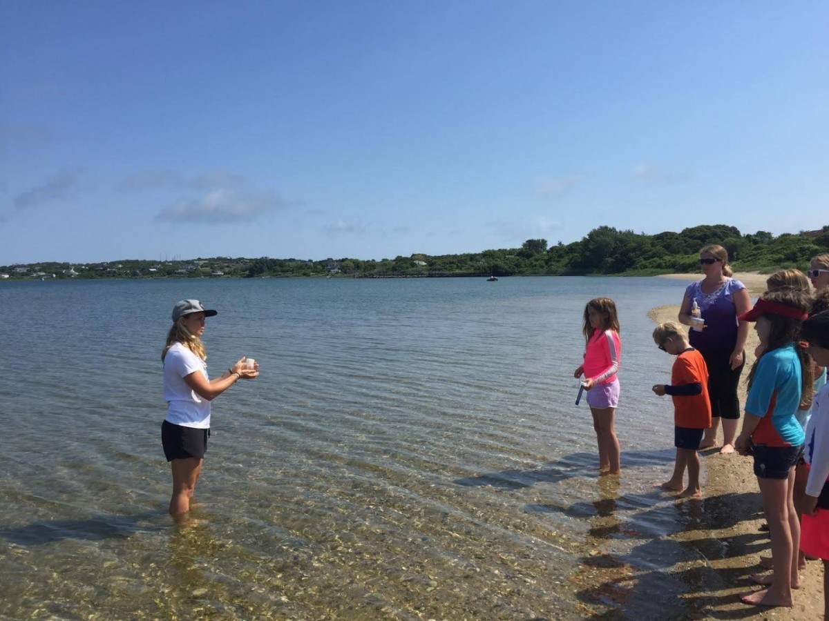 protecting-clean-water-on-eastern-long-island-surfrider-foundation