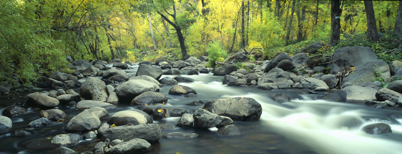 How Six Tribes Reinstated Protections for Millions of U.S. Streams and Wetlands