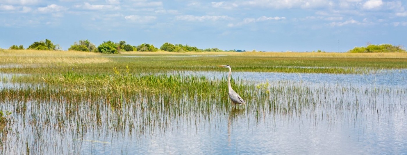 Clean Water Protections Restored (Somewhat)