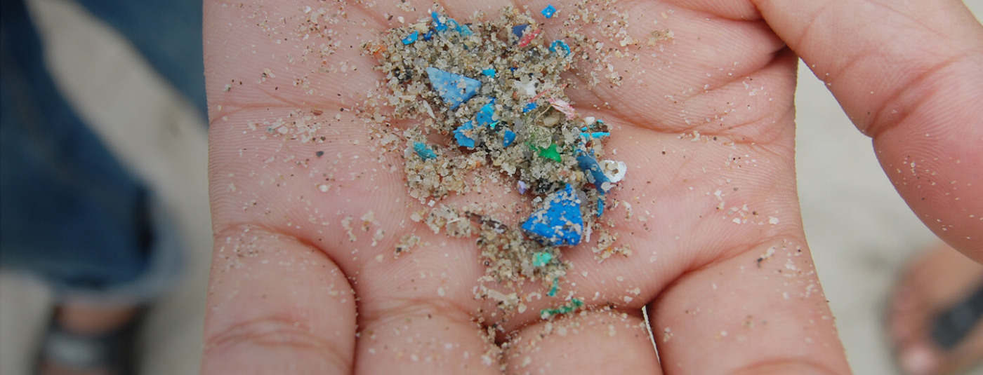 Gaps in U.S. Plastic Pollution Regulations Leave Us Vulnerable to Microplastics  