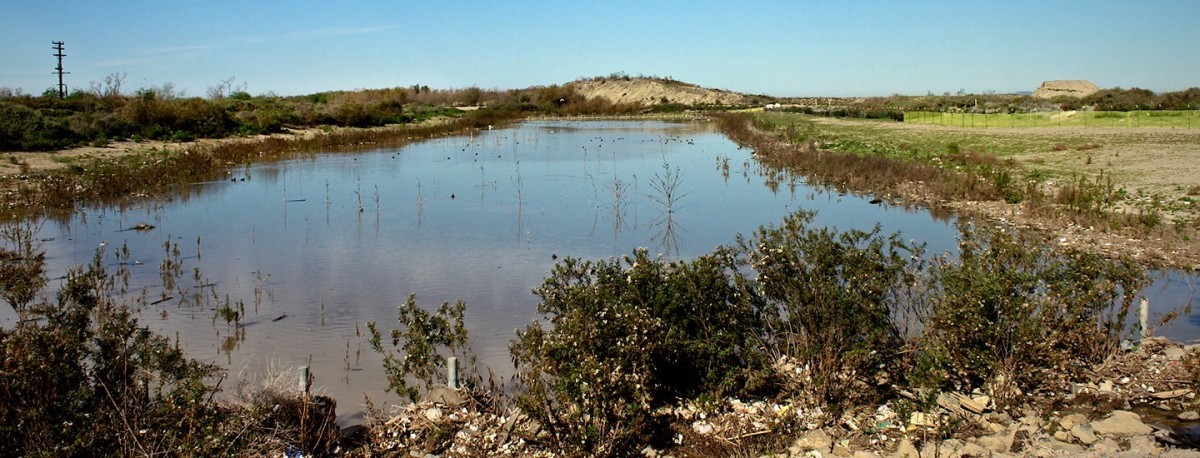 Tijuana River: The Largest Sewage Spill We’ve Ever Seen – Surfrider ...