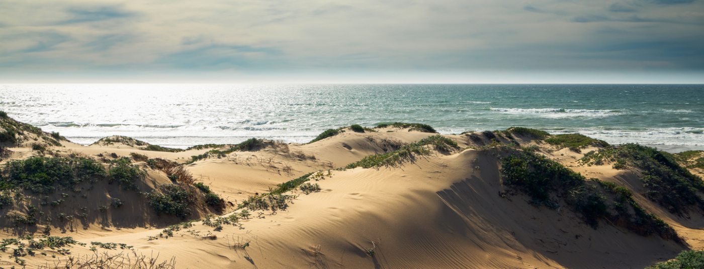 Surfrider and Partners Move to Intervene in a Lawsuit, in Protection of Oceano Dunes