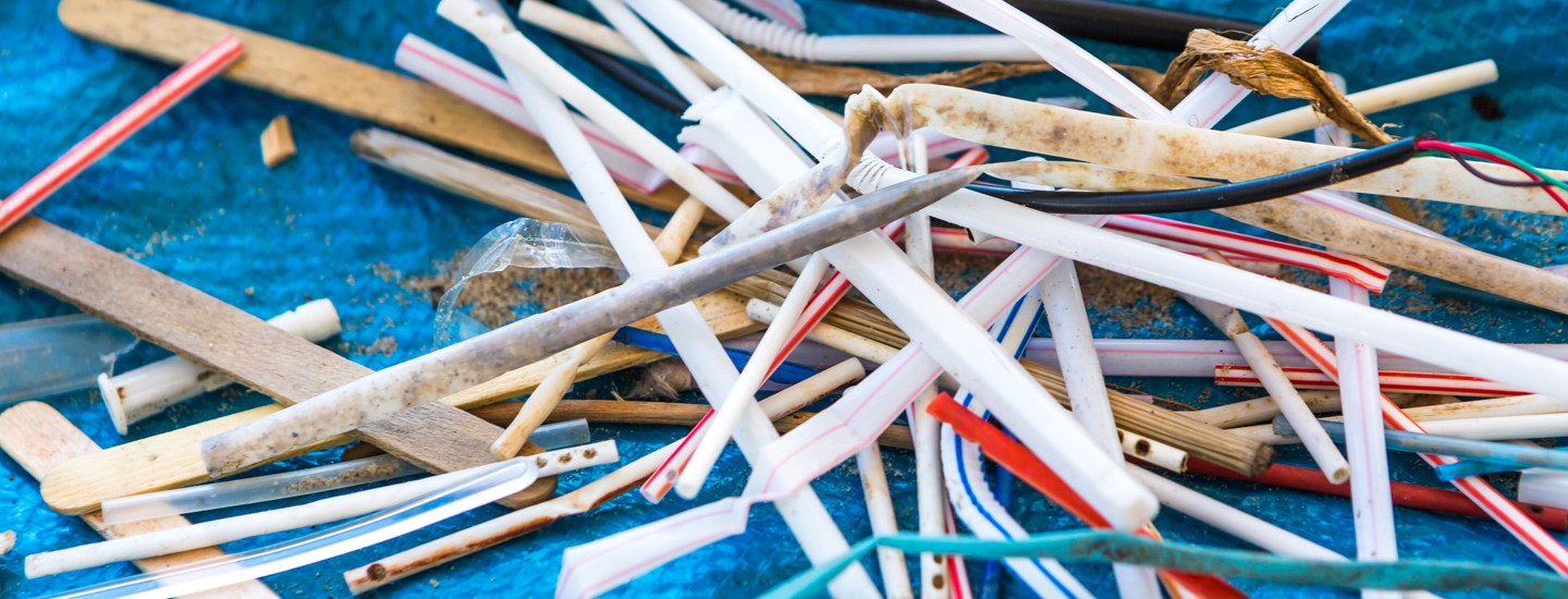 Making Plastic Straws a Thing of the Past Surfrider Foundation