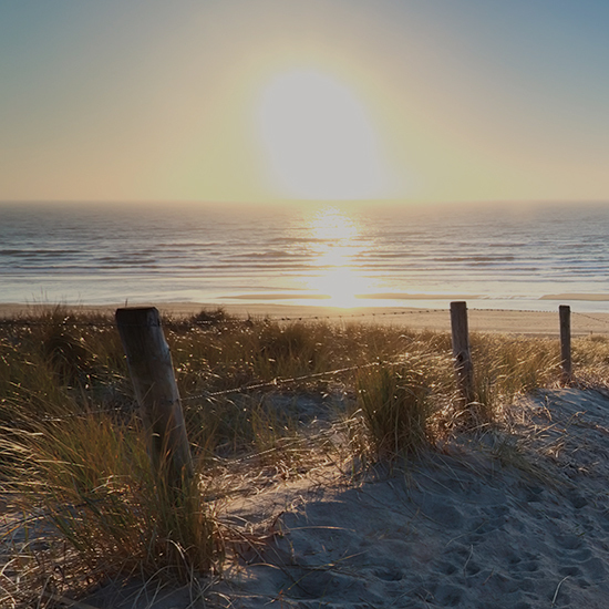 Public Access Victory in Malibu - First Civil Penalty from California Coastal Commission