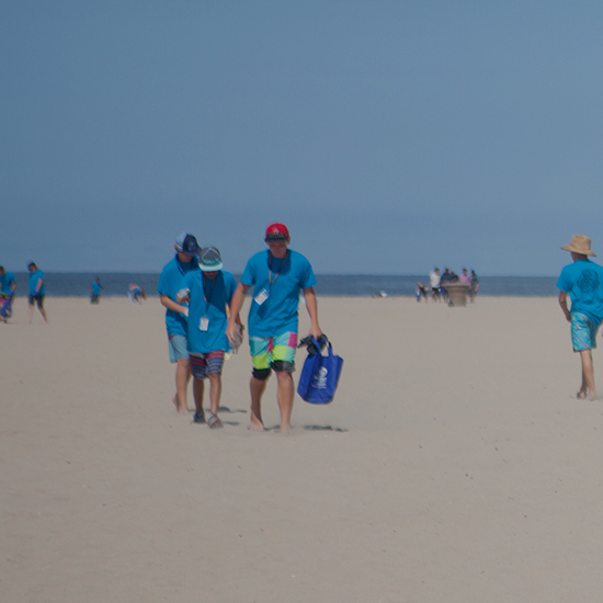 Implementation of Mid-Atlantic Regional Ocean Action Plan