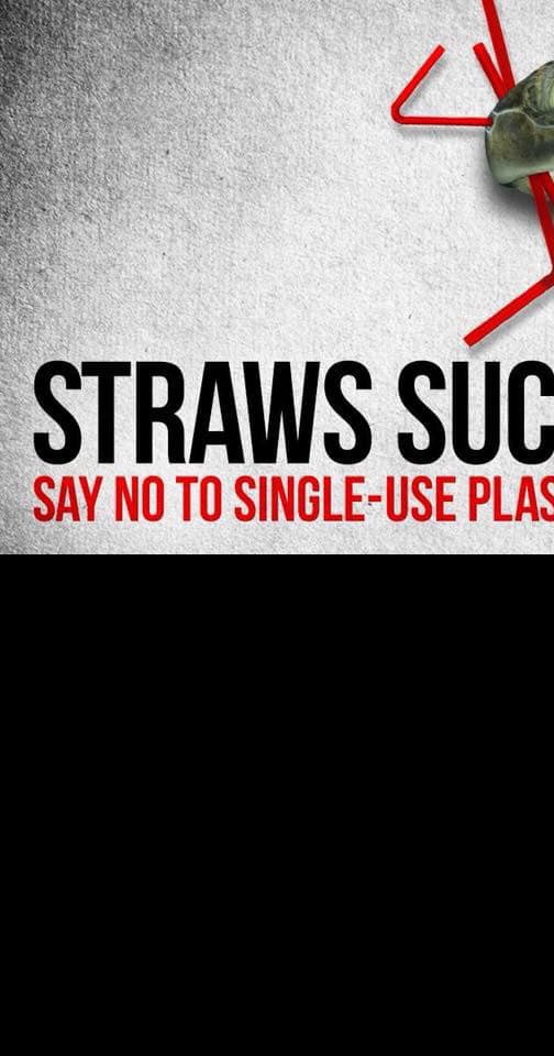 City of Key West Single Use Plastic Straw Ordinance