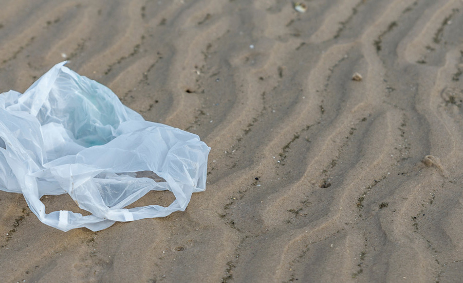 Pass a Fee on Plastic Bags in Virginia Beach