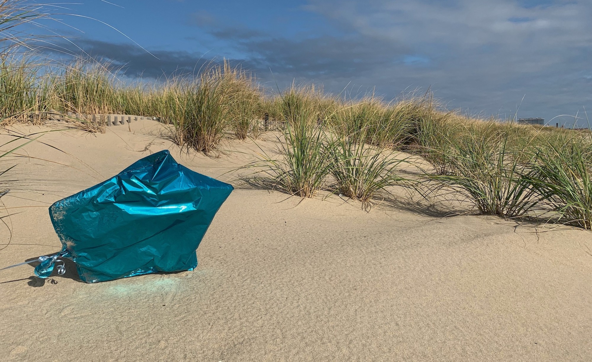 Ban the Intentional Release of Balloons in Vineland, NJ