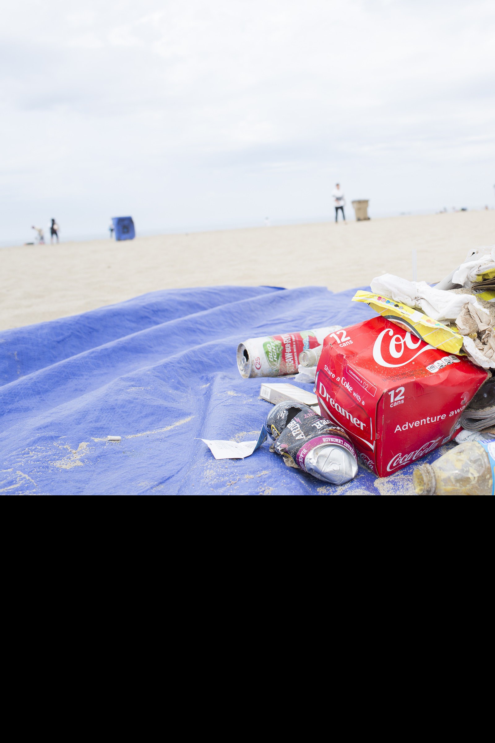 California Ocean Litter Strategy Adopted