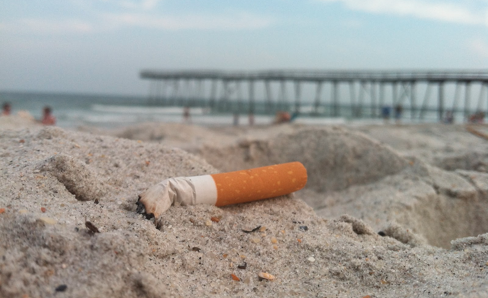 Ban Butts from Our Beaches, Monroe County
