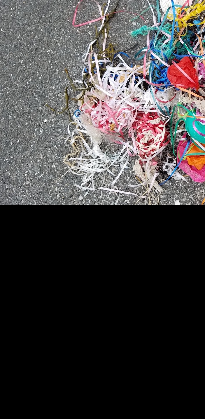 Banning Intentional Balloon Releases in East Hampton, NY