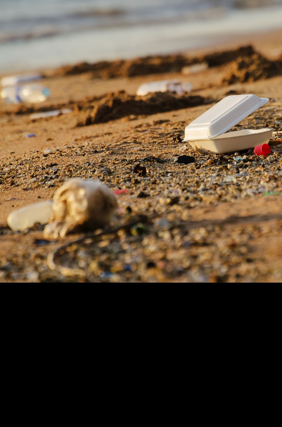 Let's Reduce Foam on California Beaches