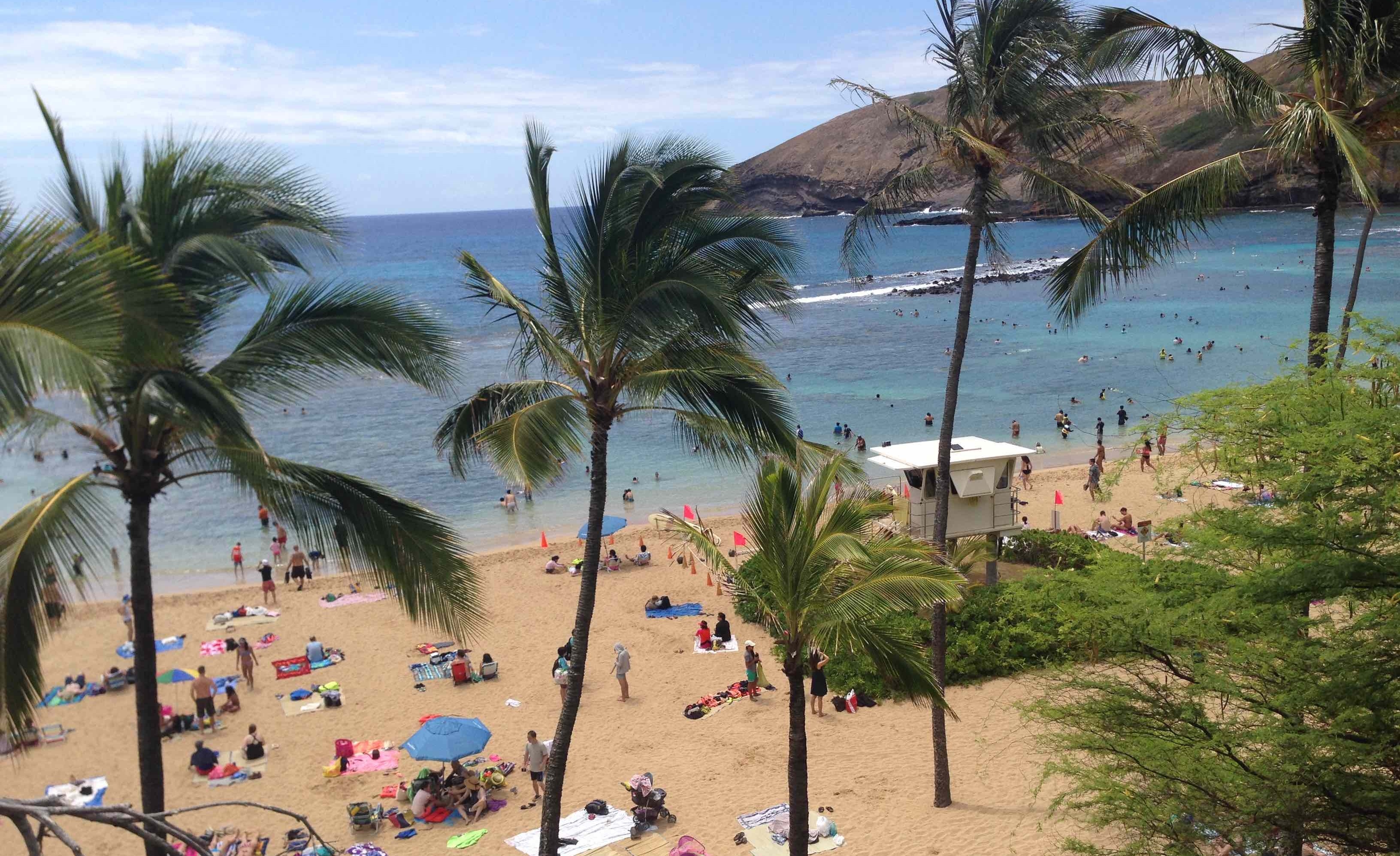 Improve the Hawaii Department of Health's beach monitoring and public notification program