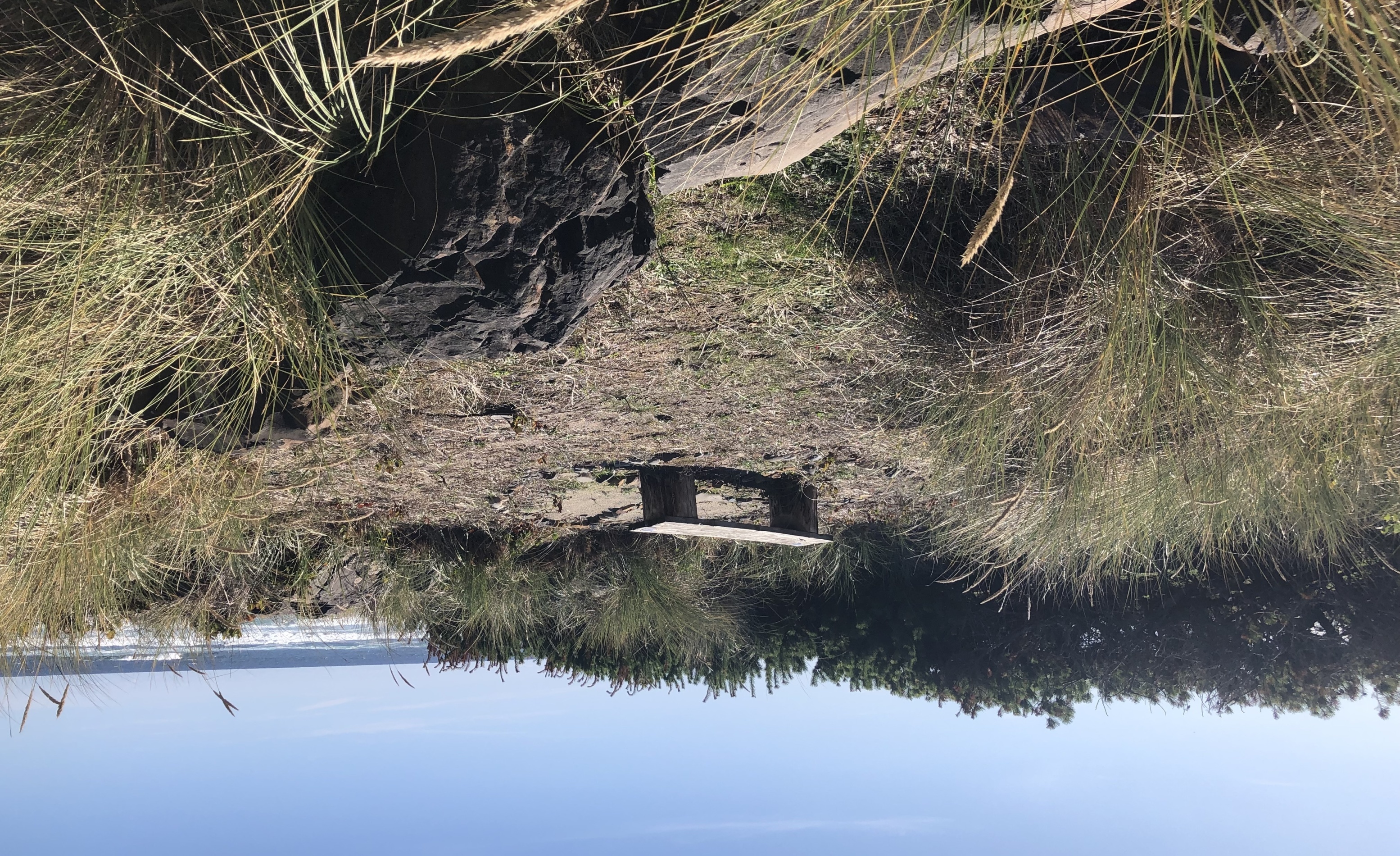 Prevent Road Vacations in Tillamook County
