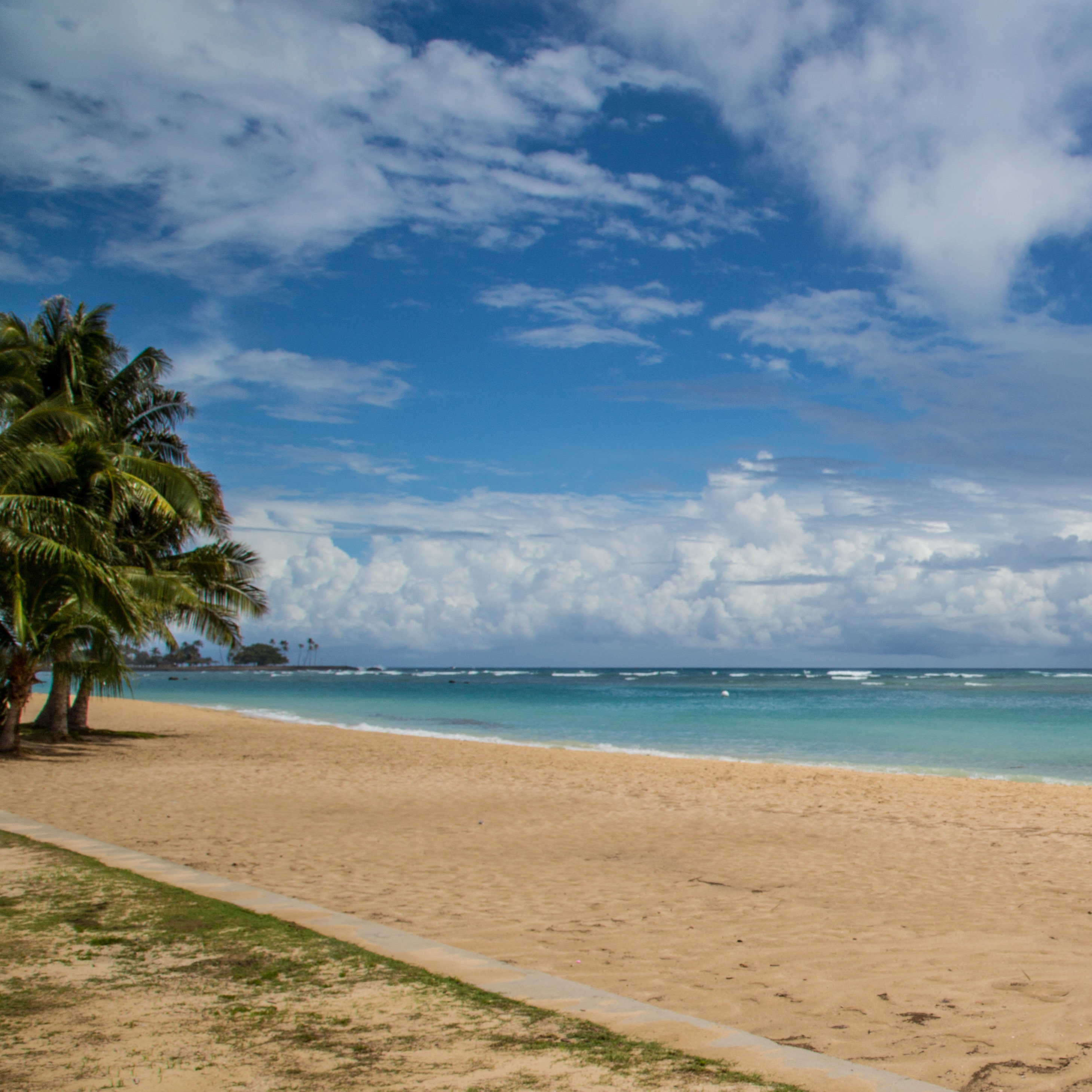 Better Public Notification of Polluted Water at Hawaii's Beaches