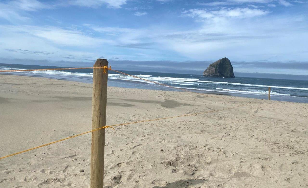 Remove Fencing from Pacific City Beach