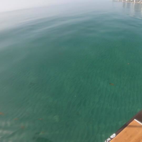 Expand Paddleboard and Surfing Zone at Hollywood Beach