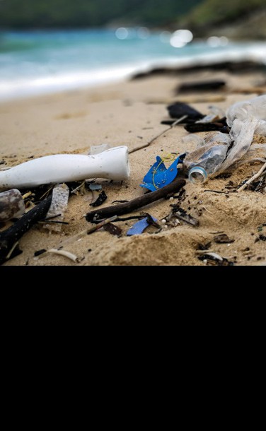 Eliminate Single Use Plastics from Beach Concessionaires in Miami Beach