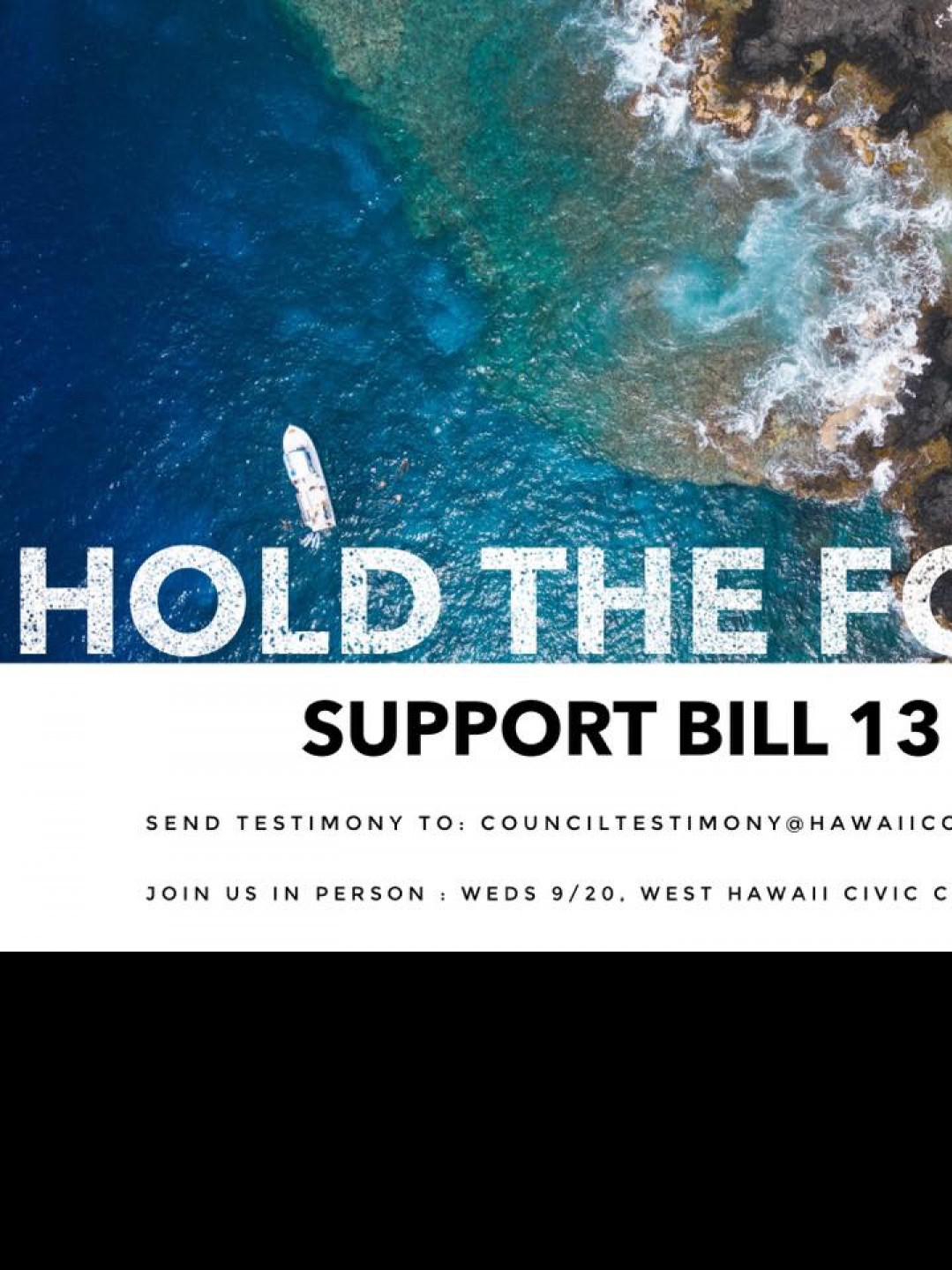 Big Island Foam Ban