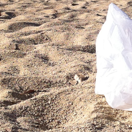 Stop Plastic Bag Pollution in Virginia