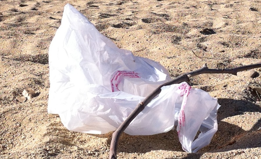Defeat State Legislation That Would Prohibit Local Container, Bag Bans and Fees in Ohio - Round 2