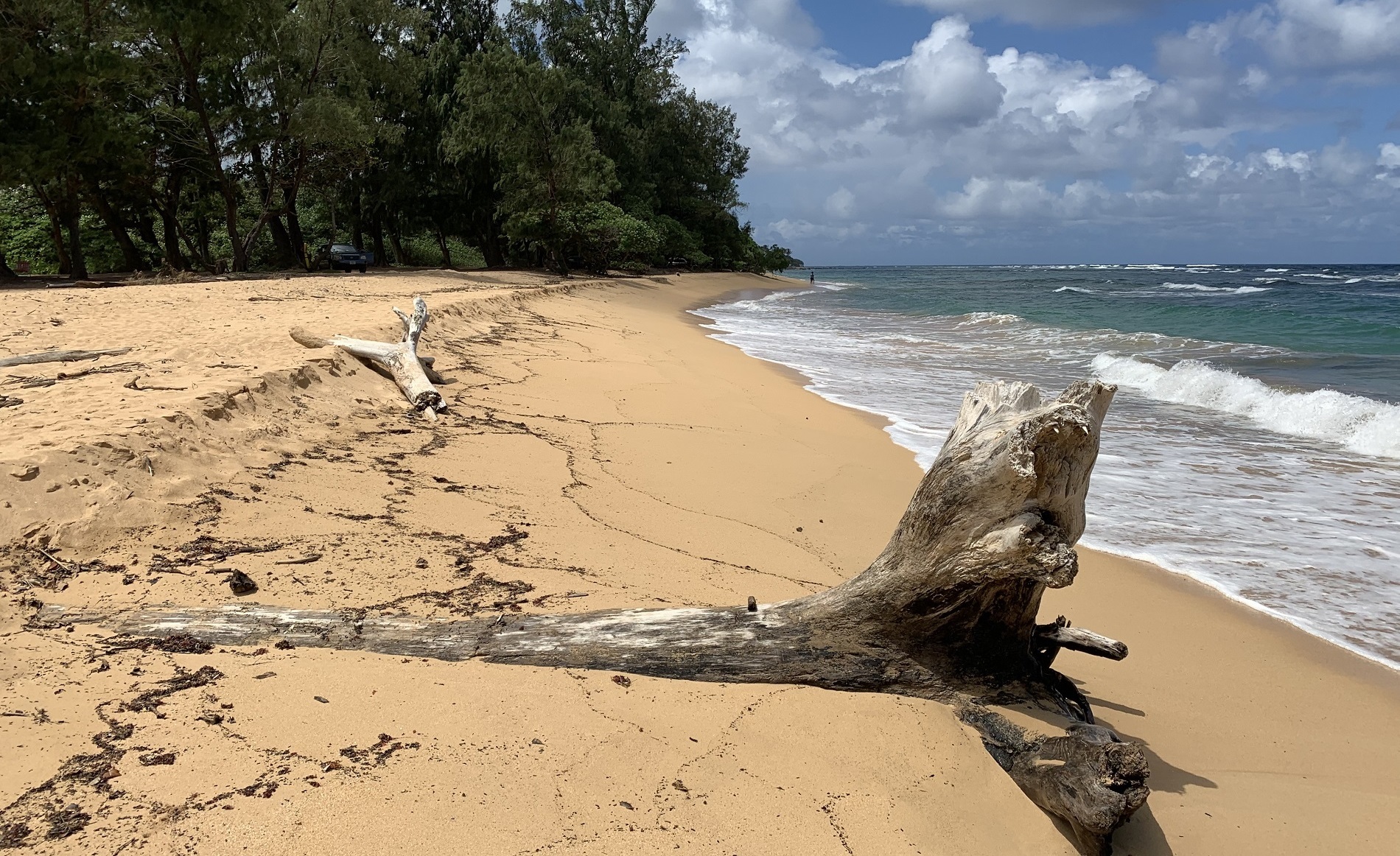 Protect ʻAliomanu Beach Access