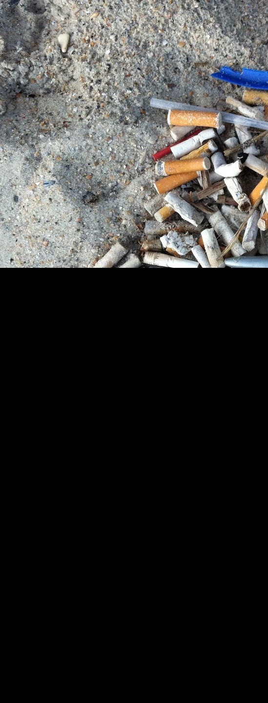 Ban Beach Smoking in Rhode Island!
