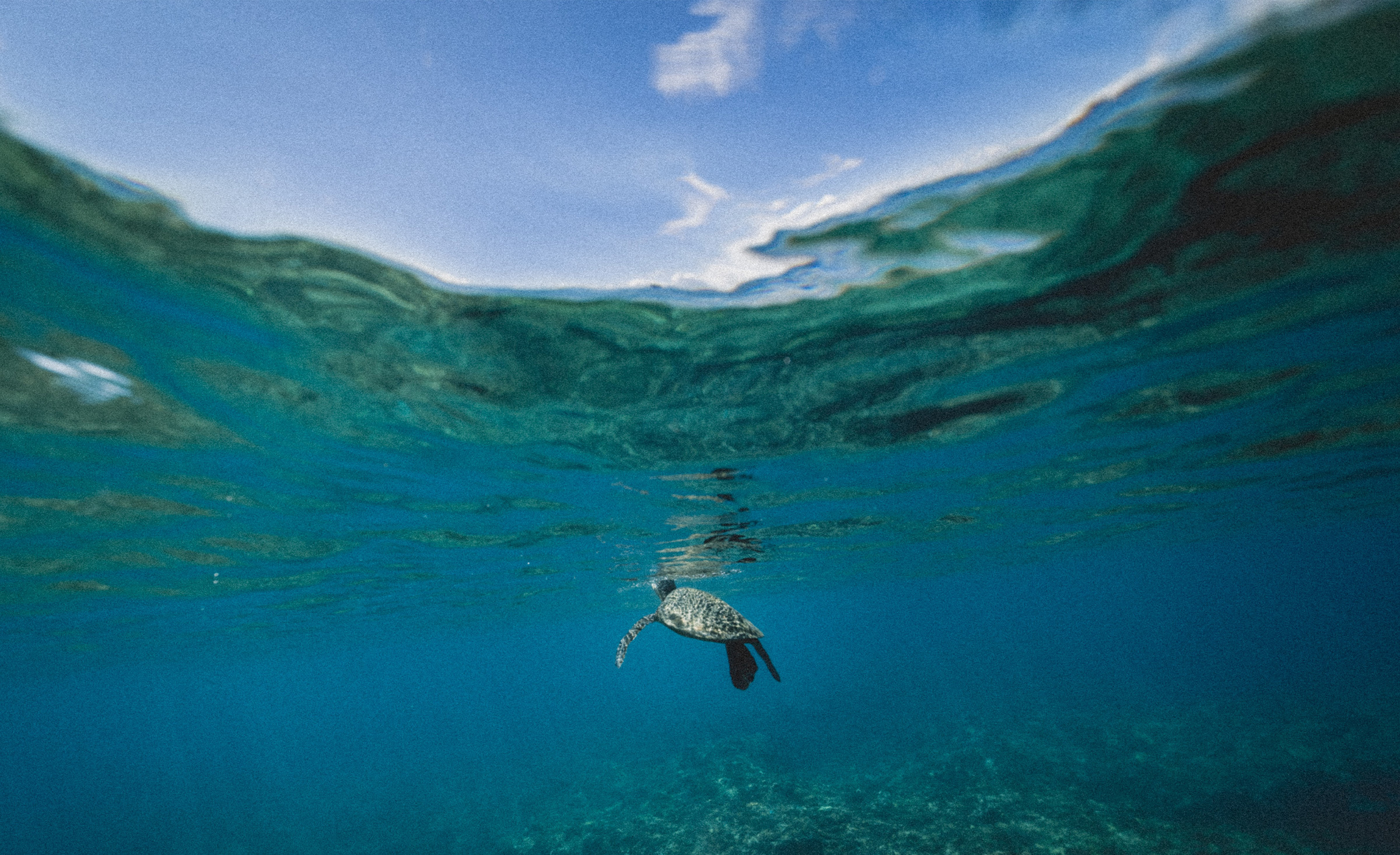 Pass the Ocean-Based Climate Solutions Act