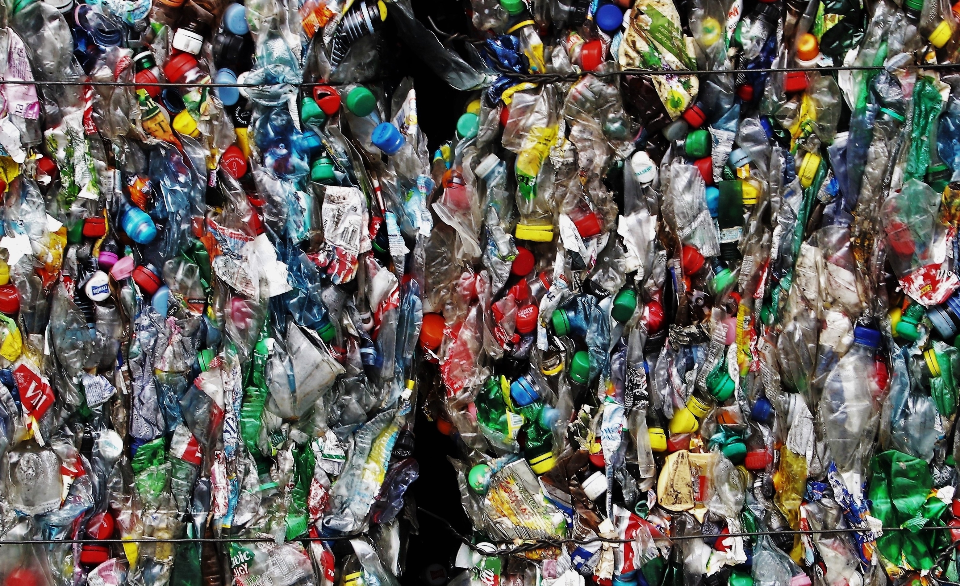 RENEW Washington's Commitment to Reducing Waste