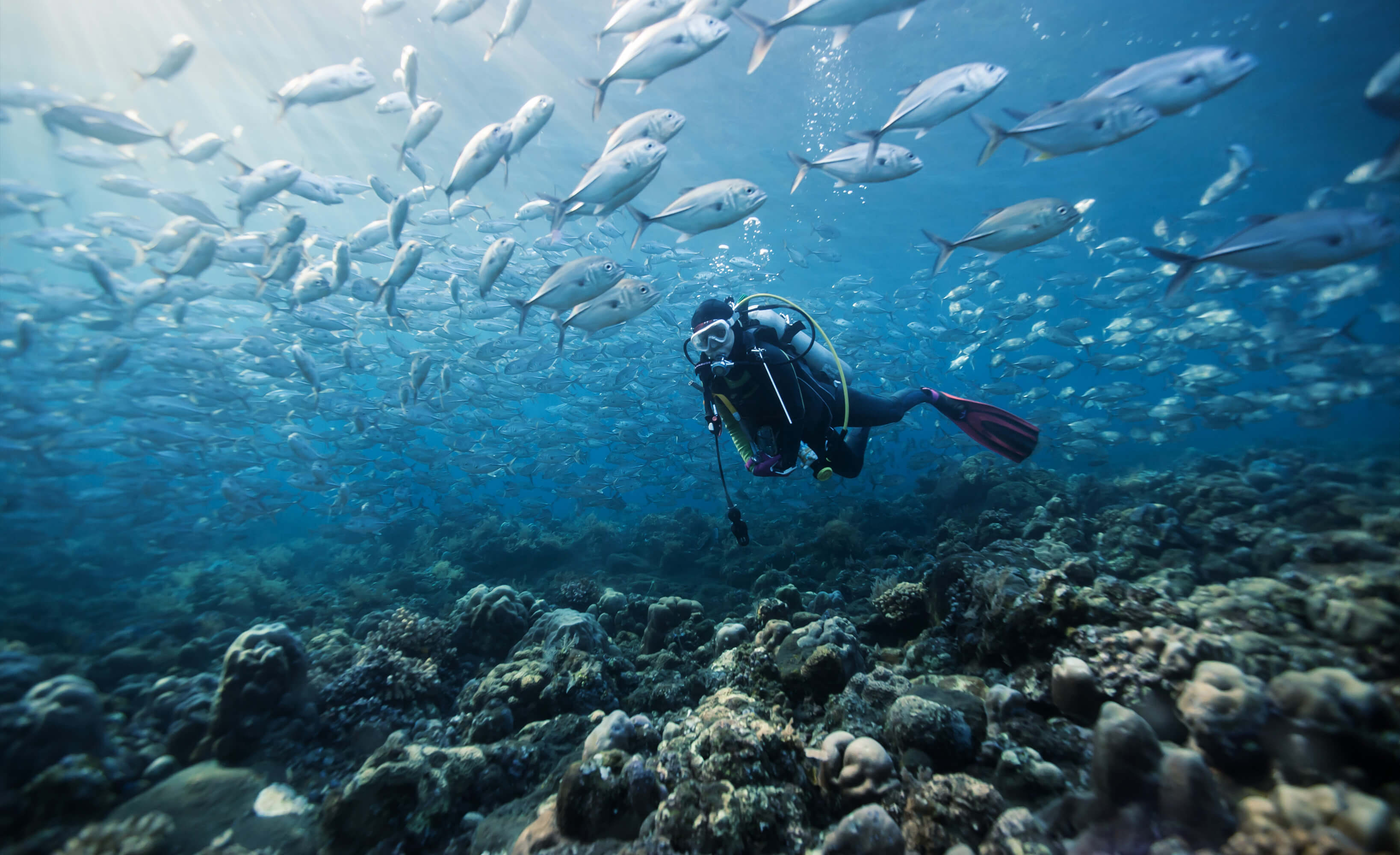 Support Coastal and Ocean Acidification and Threats (COAST) Research Act