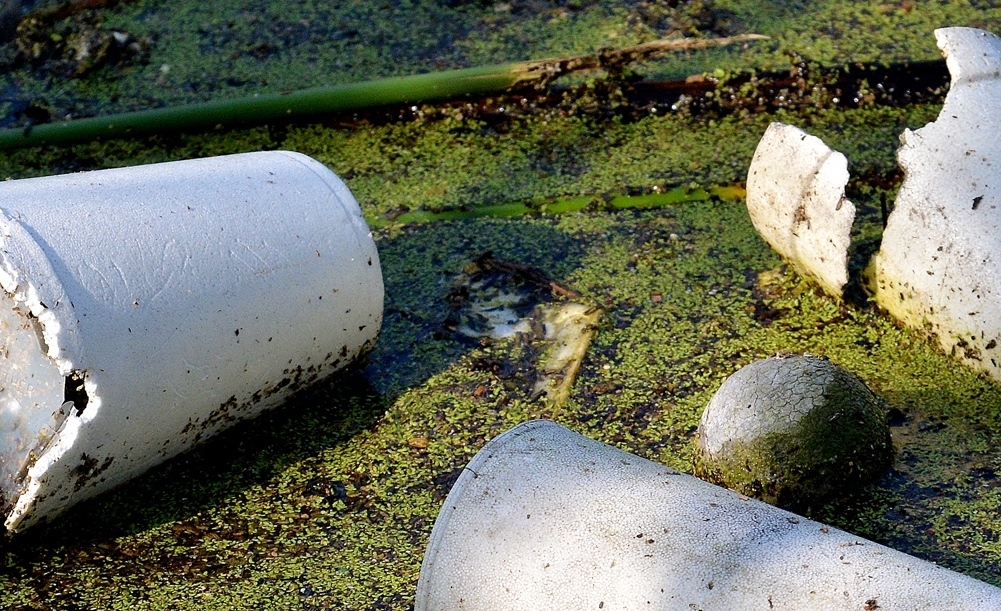 City of Sunny Isles Beach Polystyrene Ordinance in Public Parks, Offices and Beaches