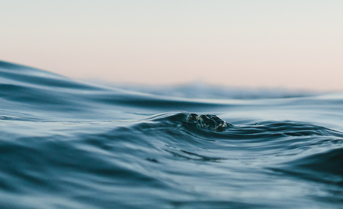 Stop Ocean Outfalls in SLO County