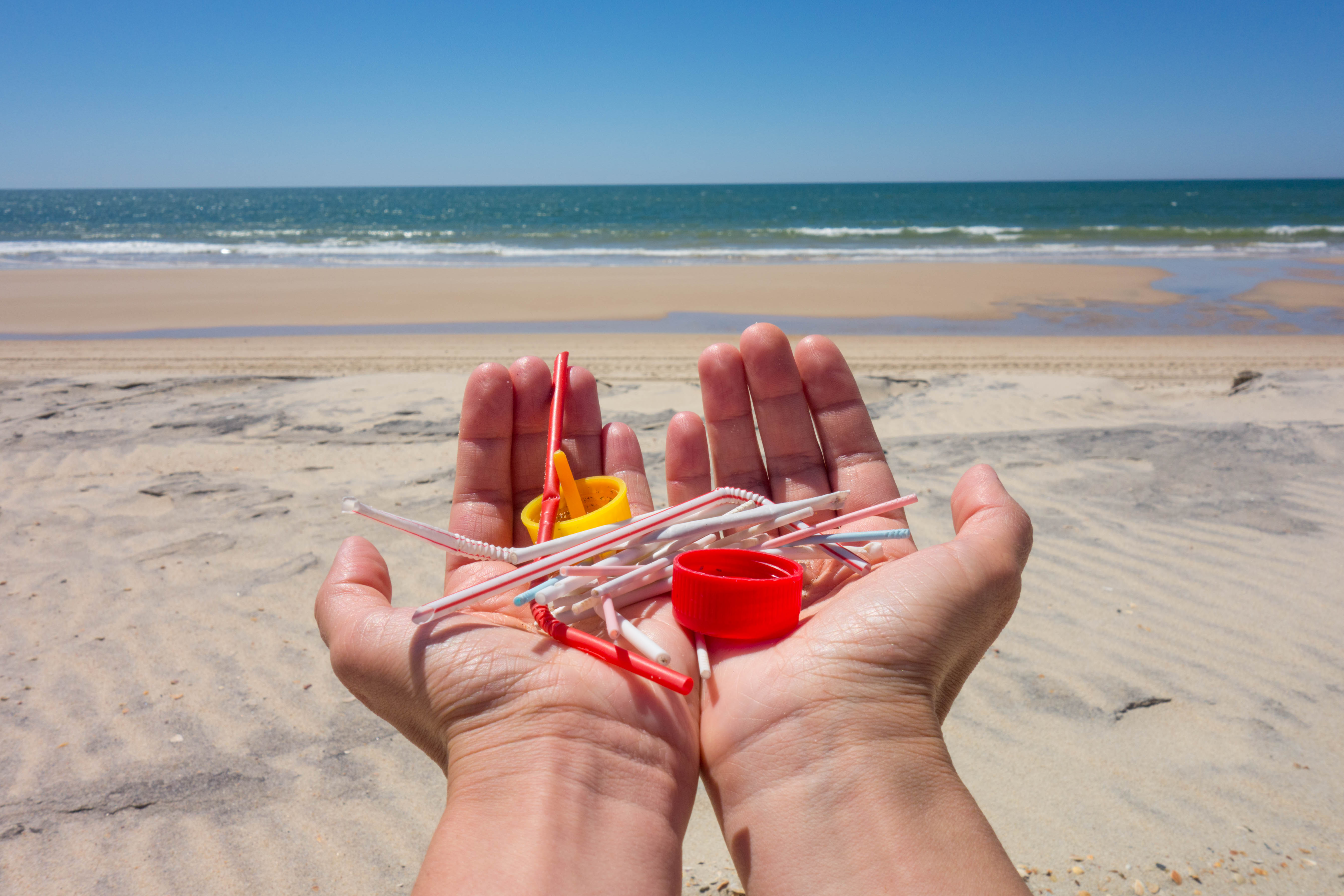 celebrating-international-coastal-cleanup-with-the-better-beach