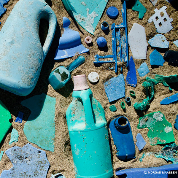 Have a Plastic Free Labor Day